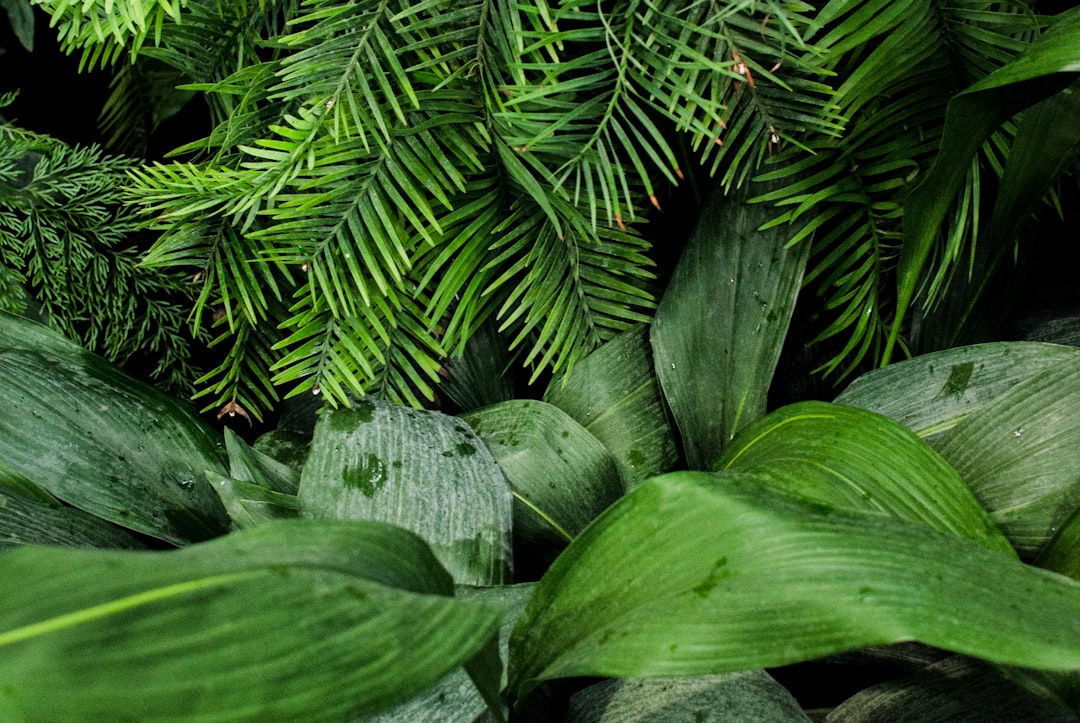 Verticale tuin met kleurrijke hoge planten. Verticale tuin met kleurrijke hoge planten.