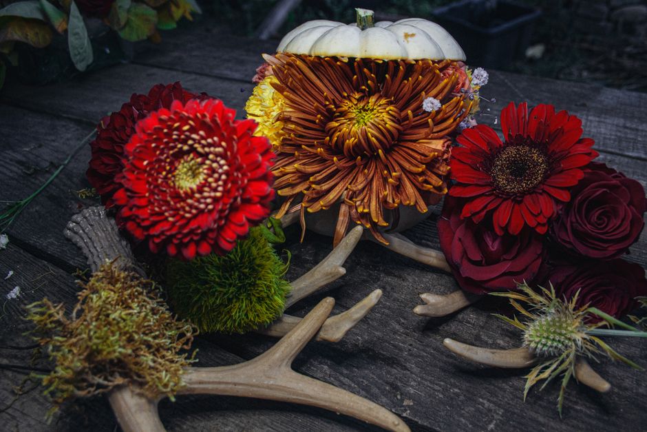 Pompoenen en wilde bloemen als tafeldecoratie. Pompoenen en wilde bloemen als tafeldecoratie.